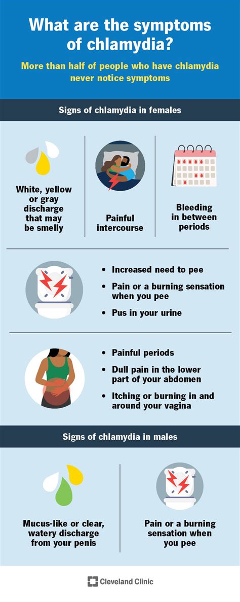 are chlamydia symptoms similar to uti
